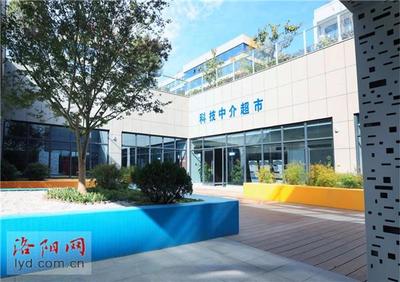 洛阳国家大学科技园 全市唯一入选全省重点培育名单的教育咨询服务标杆